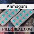 Kamagara 29